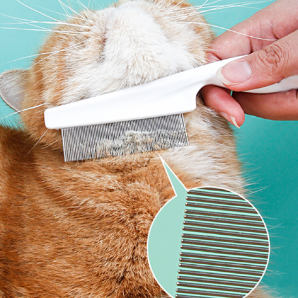 pet brush for pet cleaning